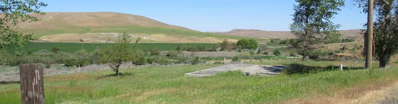 Beyerly Road, Touchet, Washington, 0 , 0 ,0,Agricultural Land,For Sale,Beyerly Road,0,288996