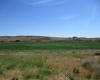 Beyerly Road, Touchet, Washington, 0 , 0 ,0,Agricultural Land,For Sale,Beyerly Road,0,288996