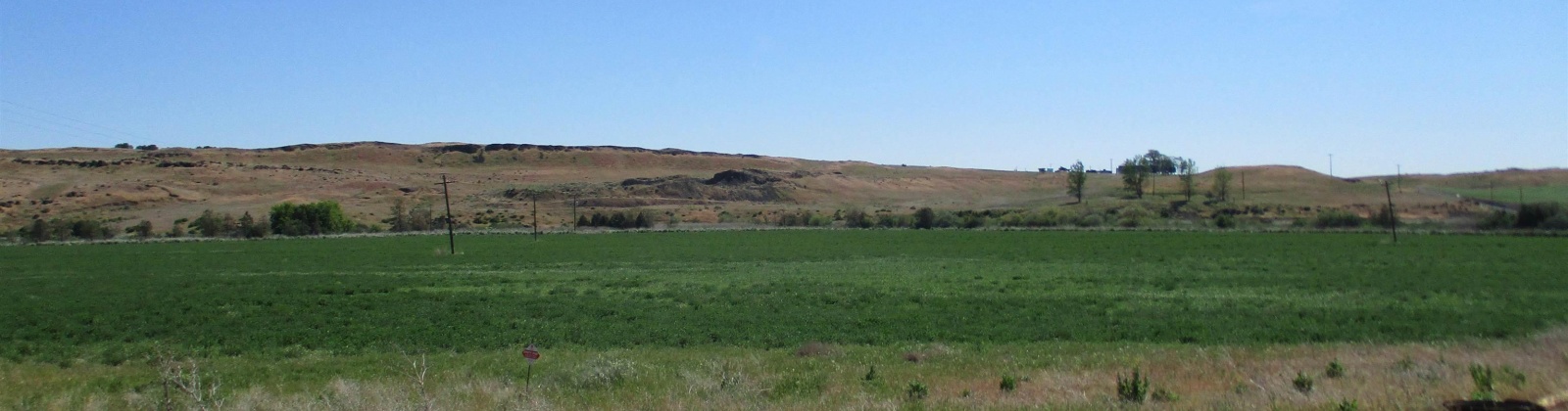 Beyerly Road, Touchet, Washington, 0 , 0 ,0,Agricultural Land,For Sale,Beyerly Road,0,288996
