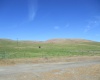 Beyerly Road, Touchet, Washington, 0 , 0 ,0,Agricultural Land,For Sale,Beyerly Road,0,288996