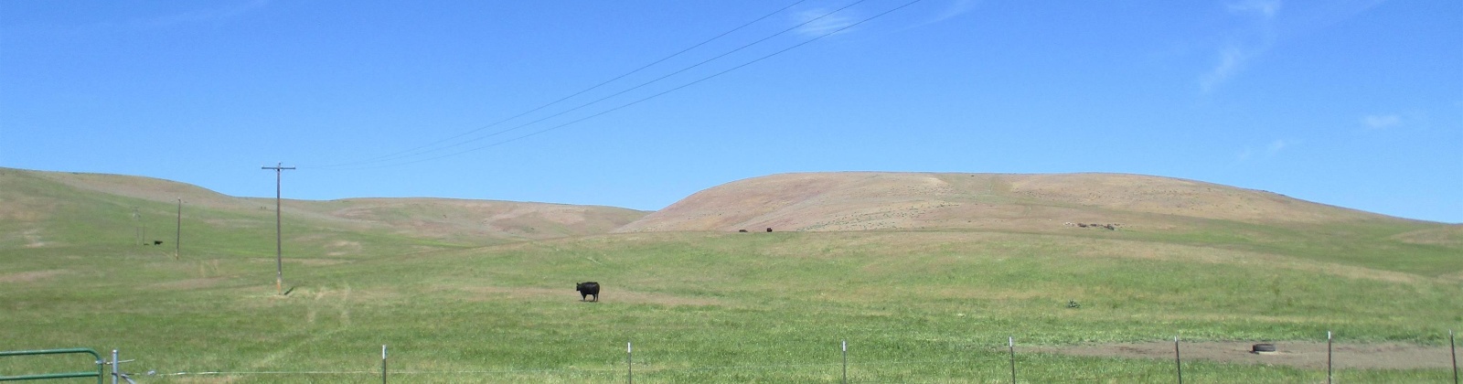 Beyerly Road, Touchet, Washington, 0 , 0 ,0,Agricultural Land,For Sale,Beyerly Road,0,288996