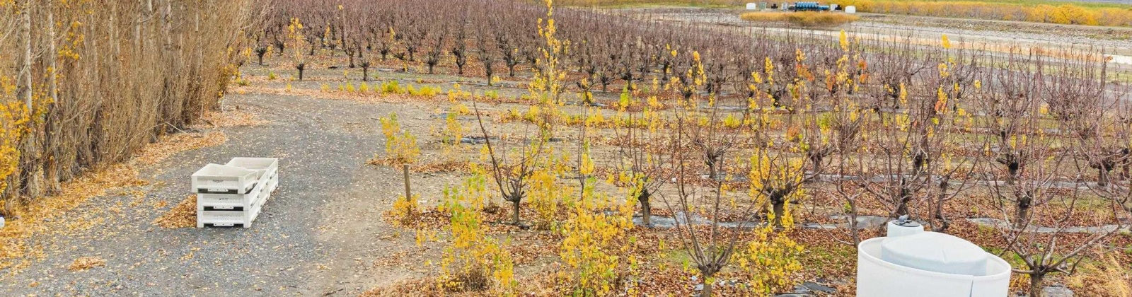 Desert Aire Drive SW, Desert Aire, Washington 99349, 0 , 0 ,0,Agricultural Land,For Sale,Desert Aire Drive SW,0,289021