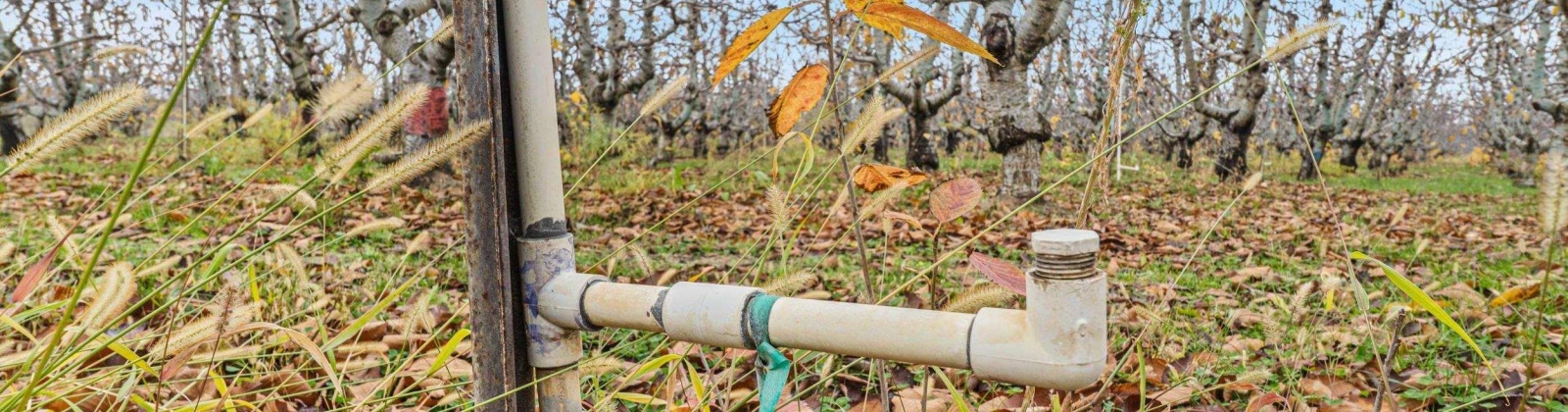 Desert Aire Drive SW, Desert Aire, Washington 99349, 0 , 0 ,0,Agricultural Land,For Sale,Desert Aire Drive SW,0,289021