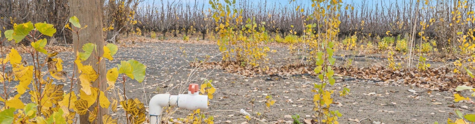 Desert Aire Drive SW, Desert Aire, Washington 99349, 0 , 0 ,0,Agricultural Land,For Sale,Desert Aire Drive SW,0,289021