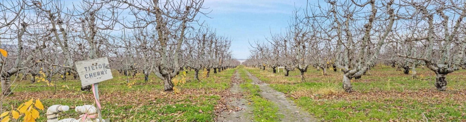 Desert Aire Drive SW, Desert Aire, Washington 99349, 0 , 0 ,0,Agricultural Land,For Sale,Desert Aire Drive SW,0,289021