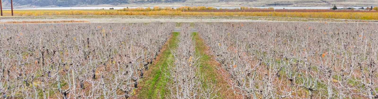 Desert Aire Drive SW, Desert Aire, Washington 99349, 0 , 0 ,0,Agricultural Land,For Sale,Desert Aire Drive SW,0,289021