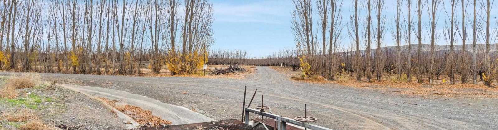 Desert Aire Drive SW, Desert Aire, Washington 99349, 0 , 0 ,0,Agricultural Land,For Sale,Desert Aire Drive SW,0,289021