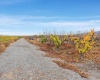 Desert Aire Drive SW, Desert Aire, Washington 99349, 0 , 0 ,0,Agricultural Land,For Sale,Desert Aire Drive SW,0,289021