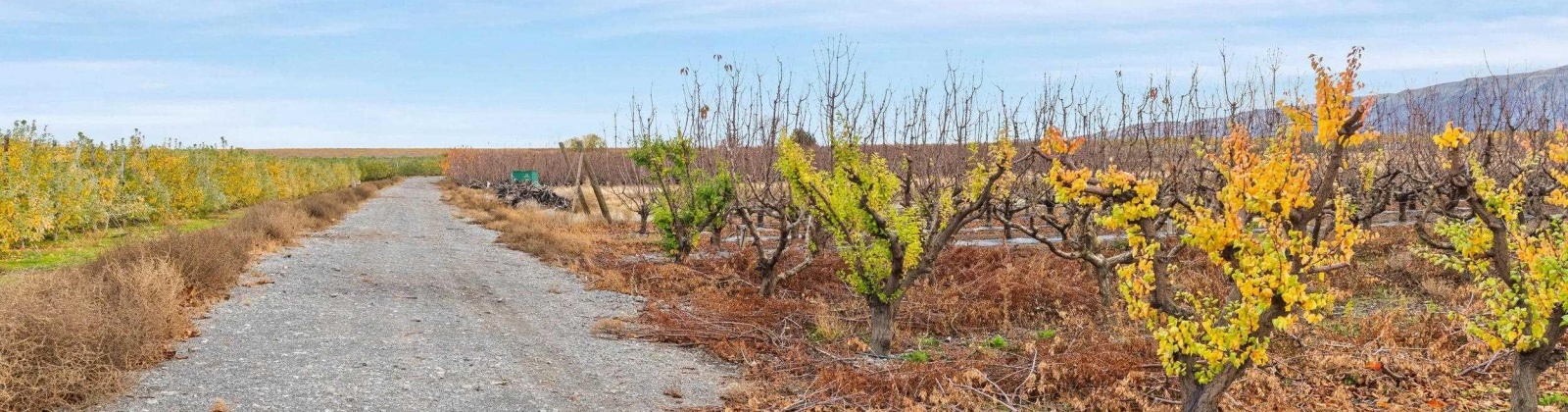 Desert Aire Drive SW, Desert Aire, Washington 99349, 0 , 0 ,0,Agricultural Land,For Sale,Desert Aire Drive SW,0,289021