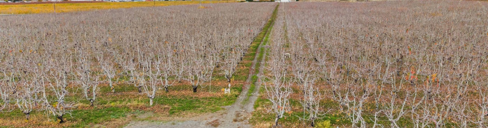 Desert Aire Drive SW, Desert Aire, Washington 99349, 0 , 0 ,0,Agricultural Land,For Sale,Desert Aire Drive SW,0,289021