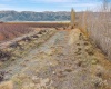 Desert Aire Drive SW, Desert Aire, Washington 99349, 0 , 0 ,0,Agricultural Land,For Sale,Desert Aire Drive SW,0,289021
