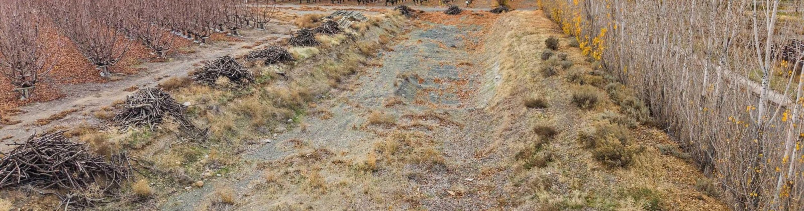 Desert Aire Drive SW, Desert Aire, Washington 99349, 0 , 0 ,0,Agricultural Land,For Sale,Desert Aire Drive SW,0,289021