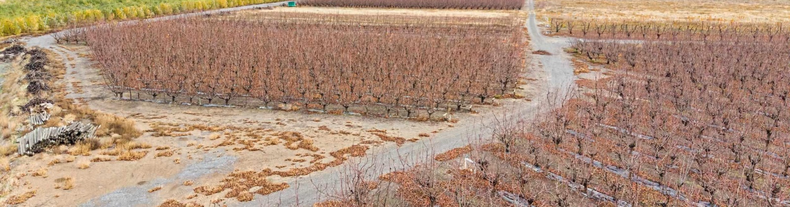 Desert Aire Drive SW, Desert Aire, Washington 99349, 0 , 0 ,0,Agricultural Land,For Sale,Desert Aire Drive SW,0,289021