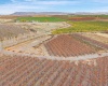 Desert Aire Drive SW, Desert Aire, Washington 99349, 0 , 0 ,0,Agricultural Land,For Sale,Desert Aire Drive SW,0,289021