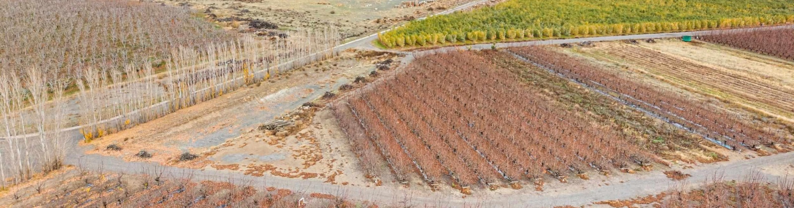 Desert Aire Drive SW, Desert Aire, Washington 99349, 0 , 0 ,0,Agricultural Land,For Sale,Desert Aire Drive SW,0,289021