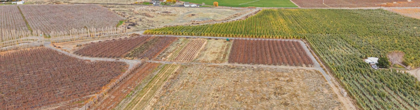 Desert Aire Drive SW, Desert Aire, Washington 99349, 0 , 0 ,0,Agricultural Land,For Sale,Desert Aire Drive SW,0,289021