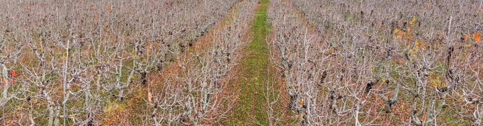 Desert Aire Drive SW, Desert Aire, Washington 99349, 0 , 0 ,0,Agricultural Land,For Sale,Desert Aire Drive SW,0,289021