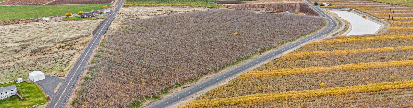 Desert Aire Drive SW, Desert Aire, Washington 99349, 0 , 0 ,0,Agricultural Land,For Sale,Desert Aire Drive SW,0,289021