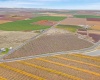 Desert Aire Drive SW, Desert Aire, Washington 99349, 0 , 0 ,0,Agricultural Land,For Sale,Desert Aire Drive SW,0,289021