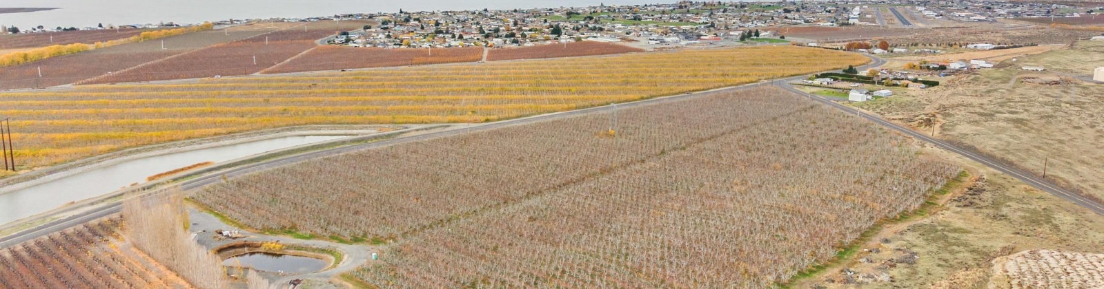 Desert Aire Drive SW, Desert Aire, Washington 99349, 0 , 0 ,0,Agricultural Land,For Sale,Desert Aire Drive SW,0,289021