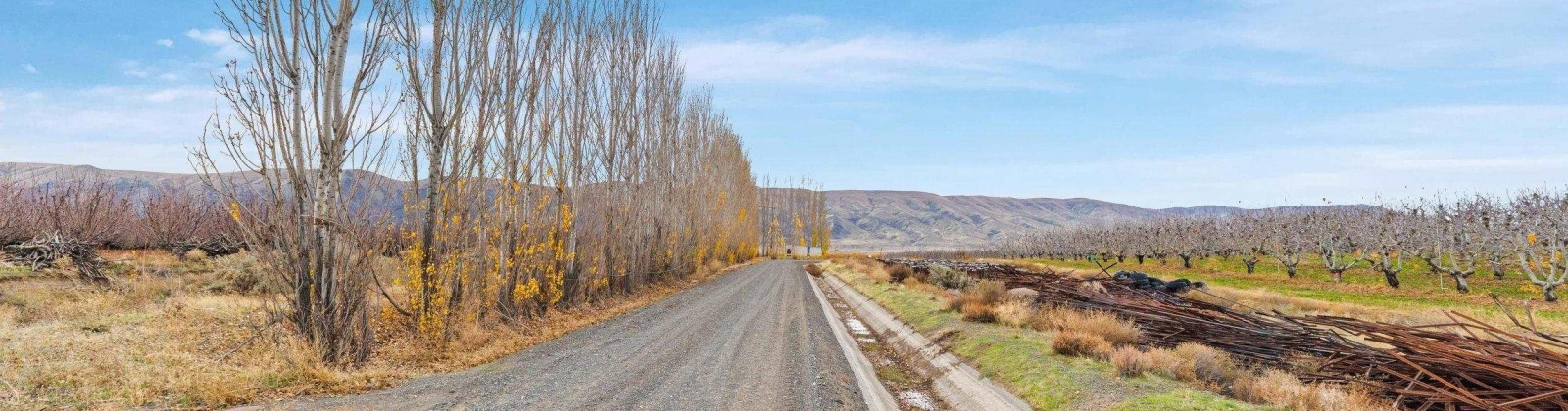 Desert Aire Drive SW, Desert Aire, Washington 99349, 0 , 0 ,0,Agricultural Land,For Sale,Desert Aire Drive SW,0,289021