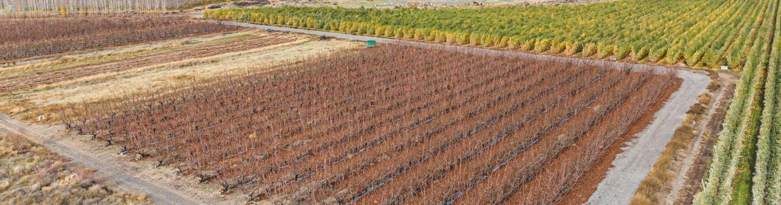 Desert Aire Drive SW, Desert Aire, Washington 99349, 0 , 0 ,0,Agricultural Land,For Sale,Desert Aire Drive SW,0,289021