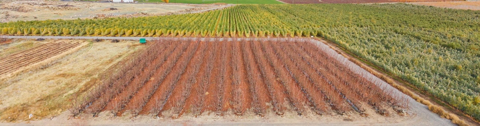 Desert Aire Drive SW, Desert Aire, Washington 99349, 0 , 0 ,0,Agricultural Land,For Sale,Desert Aire Drive SW,0,289021