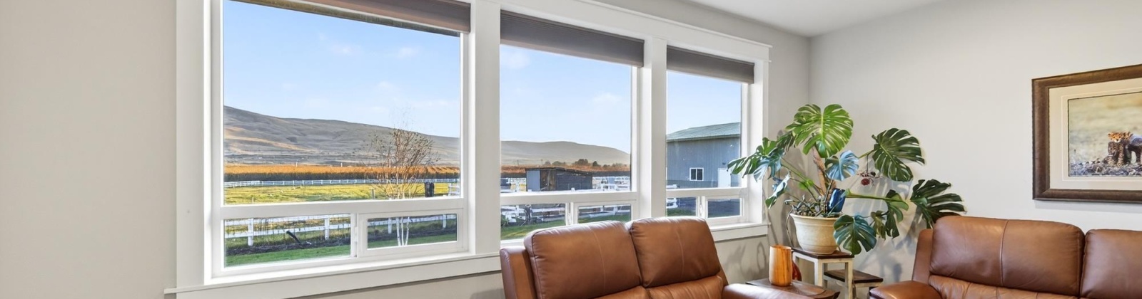 Island View PR NW, Prosser, Washington 99350, 3 Bedrooms Bedrooms, 0 ,2 BathroomsBathrooms,Houses,For Sale,Island View PR NW,0,289086