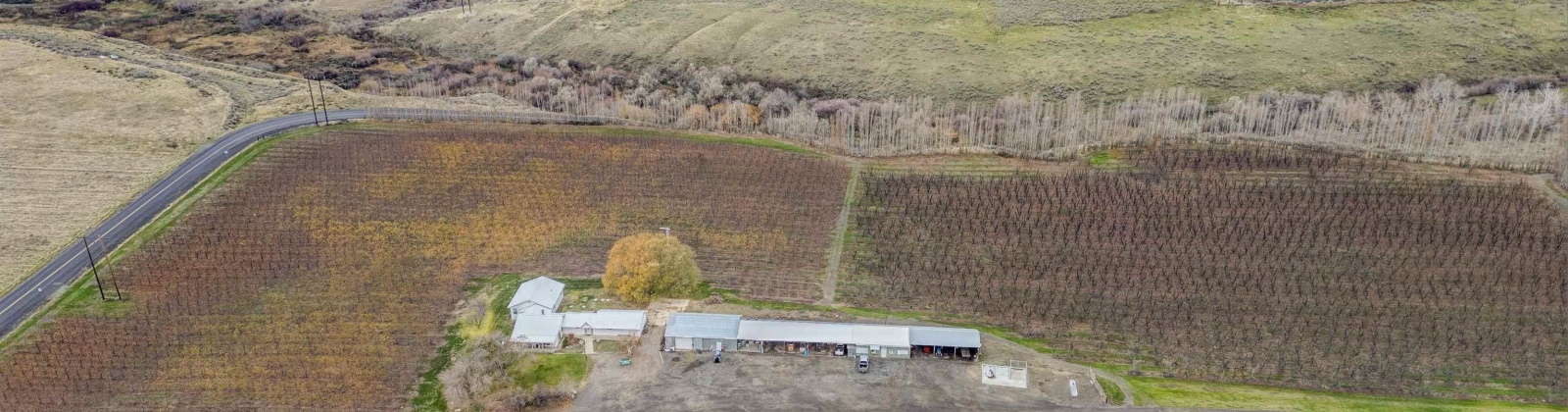 Acord Road, Benton City, Washington 99320, 3 Bedrooms Bedrooms, 0 ,3 BathroomsBathrooms,Houses,For Sale,Acord Road,0,289112