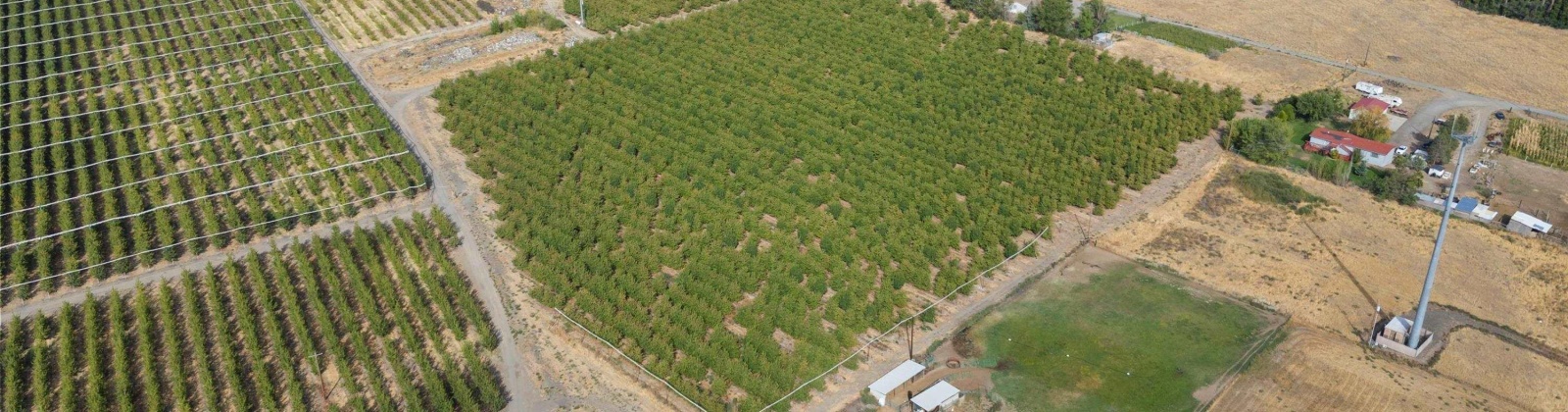 Acord Road, Benton City, Washington 99320, 0 , 0 ,0,Agricultural Land,For Sale,Acord Road,0,289104