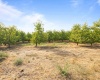 Acord Road, Benton City, Washington 99320, 0 , 0 ,0,Agricultural Land,For Sale,Acord Road,0,289104