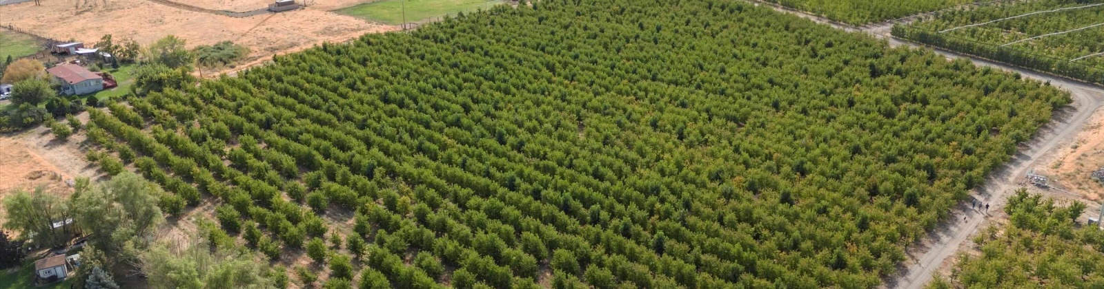 Acord Road, Benton City, Washington 99320, 3 Bedrooms Bedrooms, 0 ,3 BathroomsBathrooms,Houses,For Sale,Acord Road,0,289109