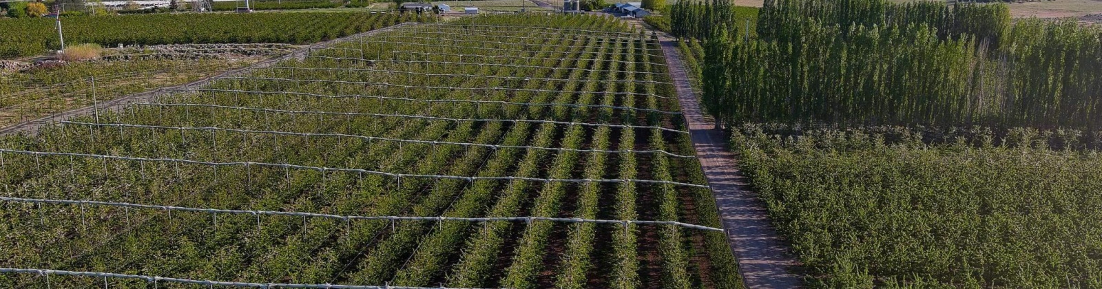 Acord Road, Benton City, Washington 99320, 3 Bedrooms Bedrooms, 0 ,3 BathroomsBathrooms,Houses,For Sale,Acord Road,0,289109