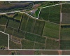 Acord Road, Benton City, Washington 99320, 0 , 0 ,0,Agricultural Land,For Sale,Acord Road,0,289110