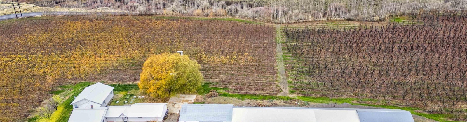 Acord Road, Benton City, Washington 99320, 0 , 0 ,0,Agricultural Land,For Sale,Acord Road,0,289110