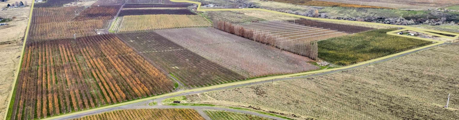 Acord Road, Benton City, Washington 99320, 0 , 0 ,0,Agricultural Land,For Sale,Acord Road,0,289110