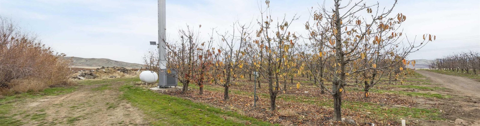 Acord Road, Benton City, Washington 99320, 0 , 0 ,0,Agricultural Land,For Sale,Acord Road,0,289111