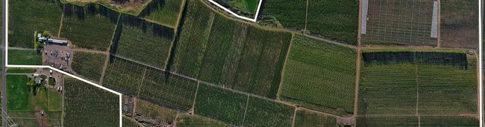 Acord Road, Benton City, Washington 99320, 0 , 0 ,0,Agricultural Land,For Sale,Acord Road,0,289111