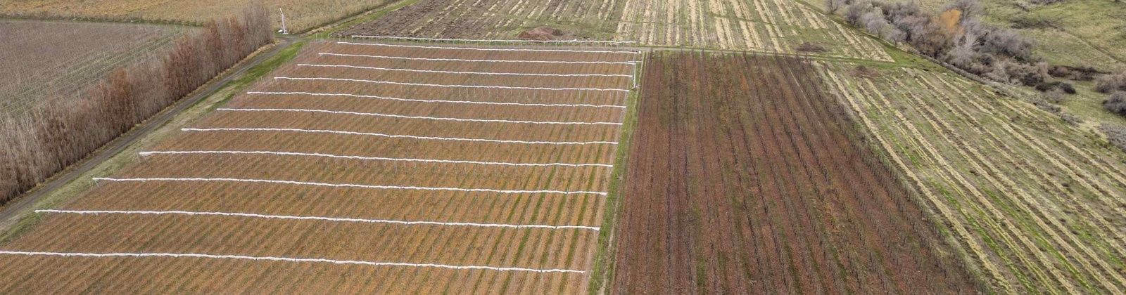 Acord Road, Benton City, Washington 99320, 0 , 0 ,0,Agricultural Land,For Sale,Acord Road,0,289111