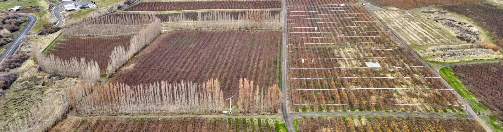 Acord Road, Benton City, Washington 99320, 0 , 0 ,0,Agricultural Land,For Sale,Acord Road,0,289111