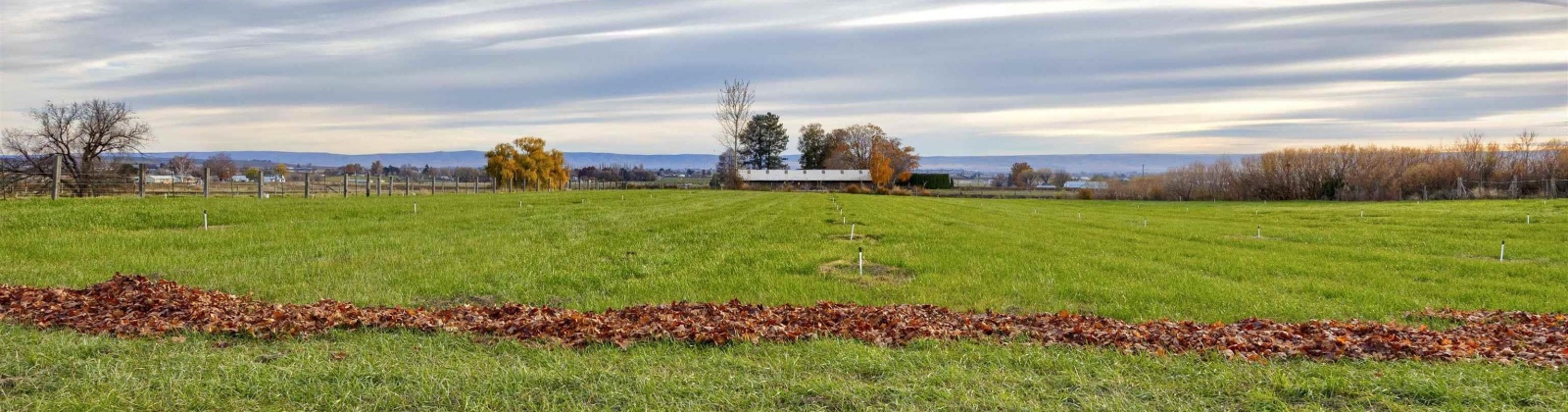 Van Belle Road, Sunnyside, Washington 98944, 3 Bedrooms Bedrooms, 0 ,2 BathroomsBathrooms,Houses,For Sale,Van Belle Road,0,289099