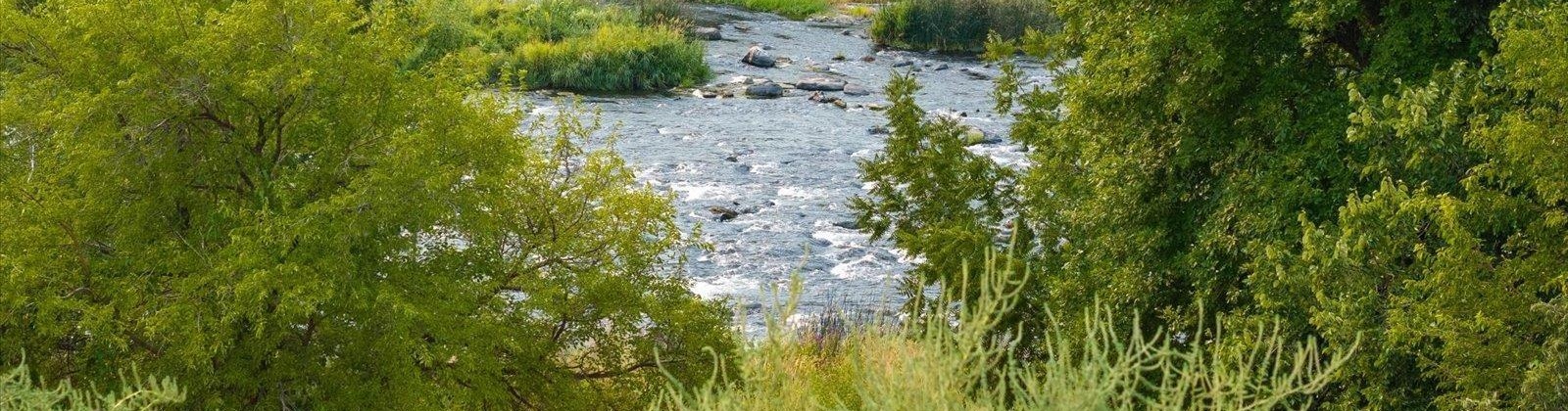 Island View PR NW, Prosser, Washington 99350, 4 Bedrooms Bedrooms, 0 ,4 BathroomsBathrooms,Houses,For Sale,Island View PR NW,0,287401