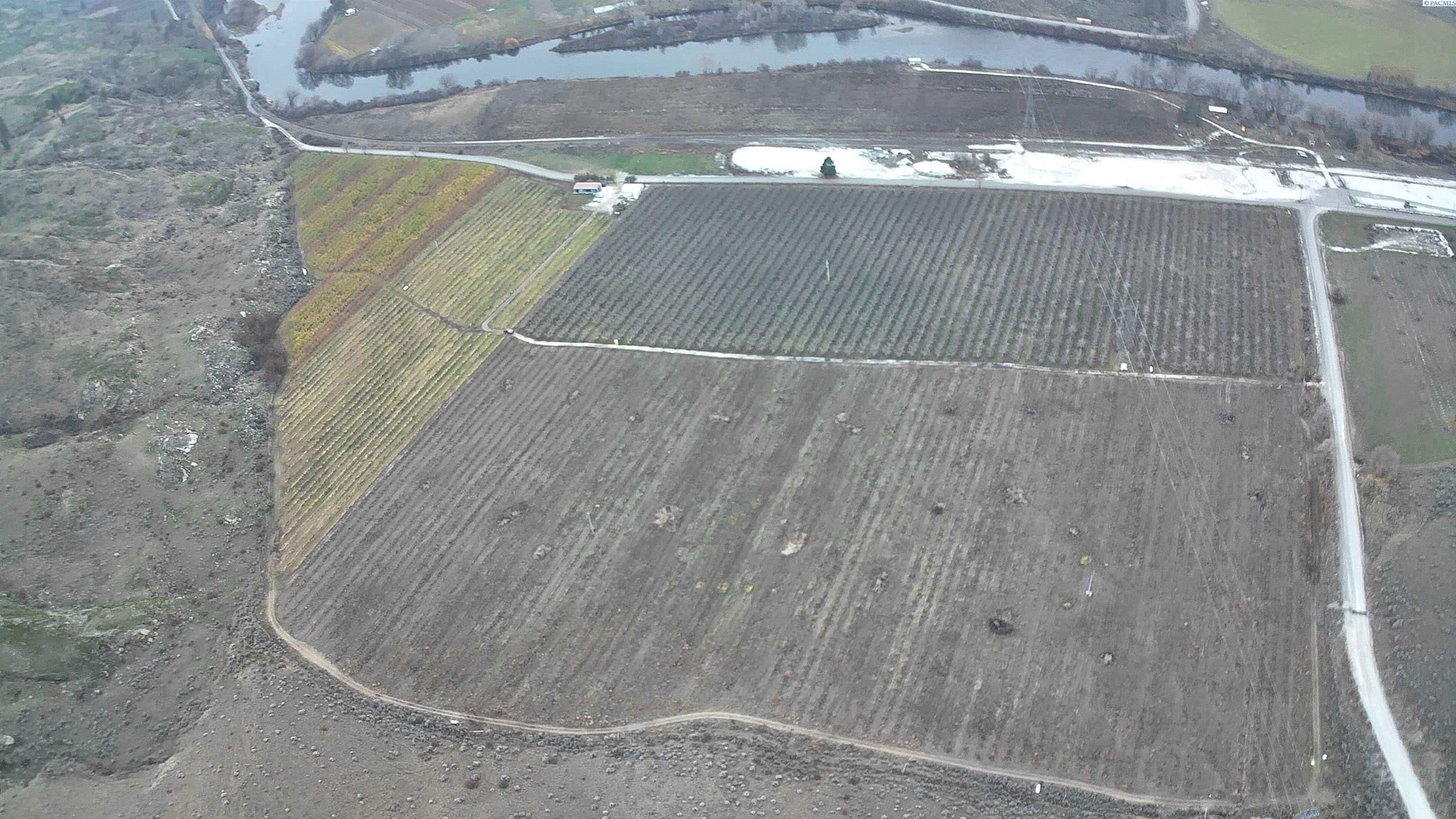 Janis Rd. Riverside, Tonasket, Washington 98855, 0 , 0 ,0,Agricultural Land,For Sale,Janis Rd. Riverside,0,289153