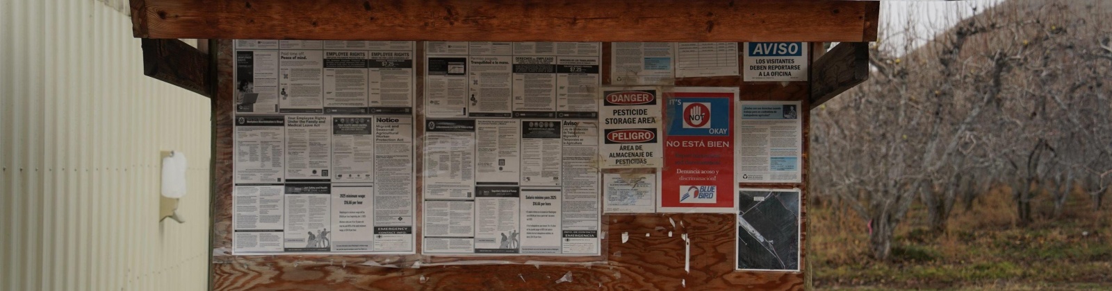 Janis Rd. Riverside, Tonasket, Washington 98855, 0 , 0 ,0,Agricultural Land,For Sale,Janis Rd. Riverside,0,289153