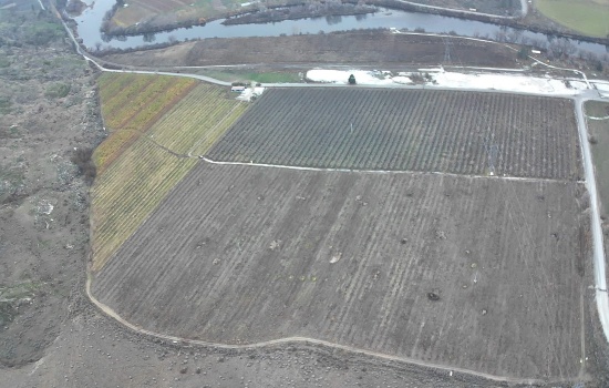 Agricultural Land For Sale