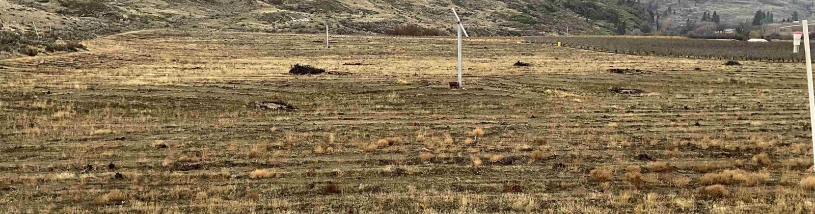 Janis Rd. Riverside, Tonasket, Washington 98855, 0 , 0 ,0,Agricultural Land,For Sale,Janis Rd. Riverside,0,289153