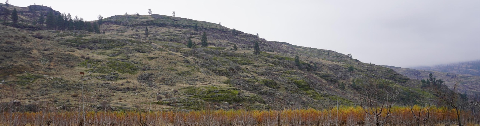 Janis Rd. Riverside, Tonasket, Washington 98855, 0 , 0 ,0,Agricultural Land,For Sale,Janis Rd. Riverside,0,289153