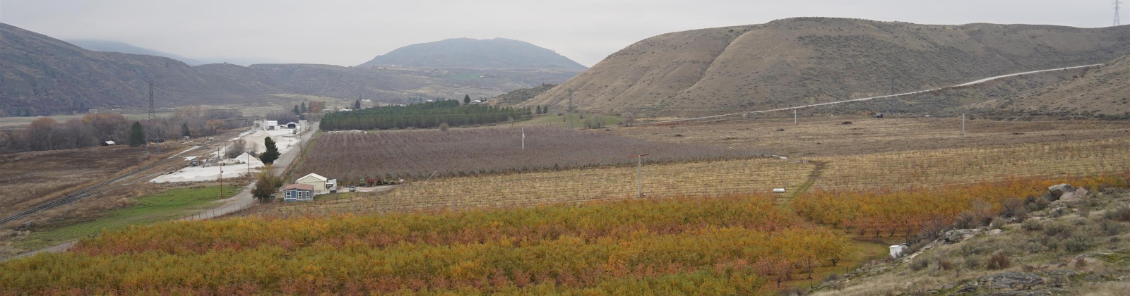 Janis Rd. Riverside, Tonasket, Washington 98855, 0 , 0 ,0,Agricultural Land,For Sale,Janis Rd. Riverside,0,289153