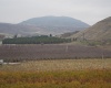 Janis Rd. Riverside, Tonasket, Washington 98855, 0 , 0 ,0,Agricultural Land,For Sale,Janis Rd. Riverside,0,289153