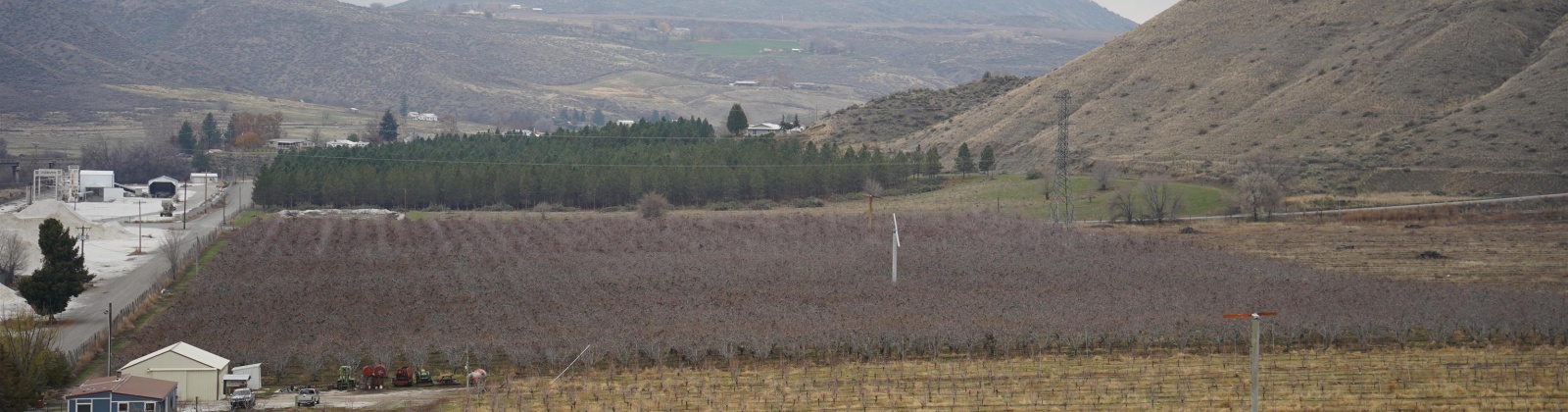 Janis Rd. Riverside, Tonasket, Washington 98855, 0 , 0 ,0,Agricultural Land,For Sale,Janis Rd. Riverside,0,289153